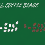 コーヒー豆のフリーイラスト素材